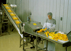 Packaging Process